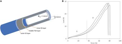 Preclinical Validation of SilkBridgeTM for Peripheral Nerve Regeneration